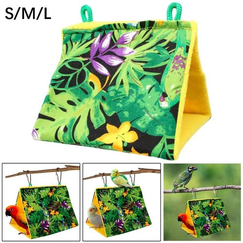 Bird parrot nest - bird,