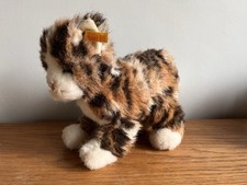 Steiff Cat Teddy Bear, Steiff Bear Cat Rare Colour Steiff.