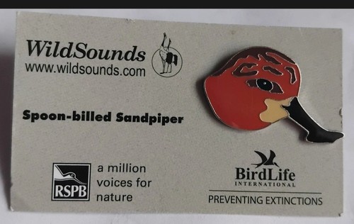 Rspb pin badge - and, birdlife