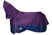 AXIOM 1800D BALLISTIC PURPLE