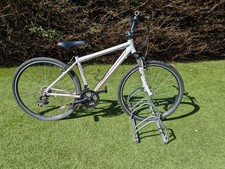 Raliegh Max retro mountain