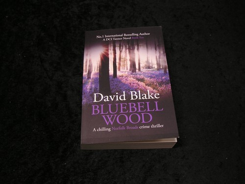 Bluebell wood - bluebell,