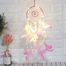 Beautiful Feather Dream