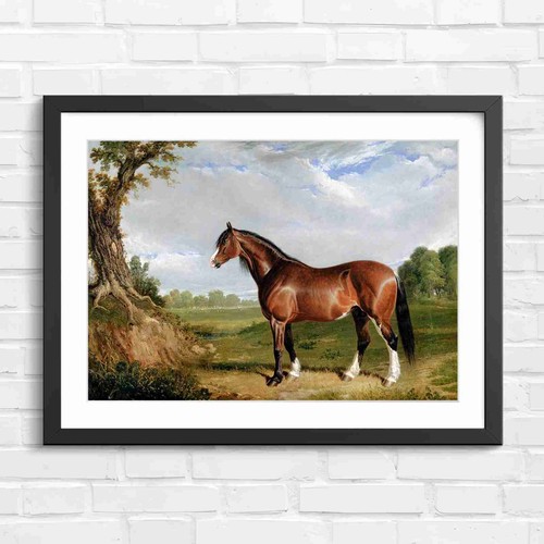 Classic brown horse - classic,
