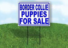 Border Collie PUPPIES FOR SALE