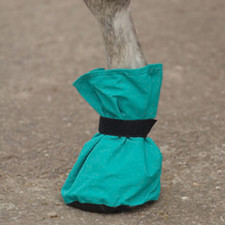 Hoof It Horse Poultice Boot