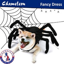 Halloween Pet Spider Costume