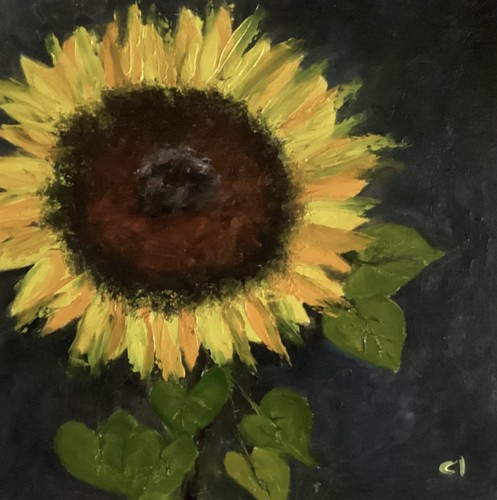 Sunflower original oil - original,