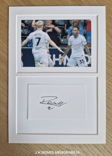 Swansea city ronald hand - city,