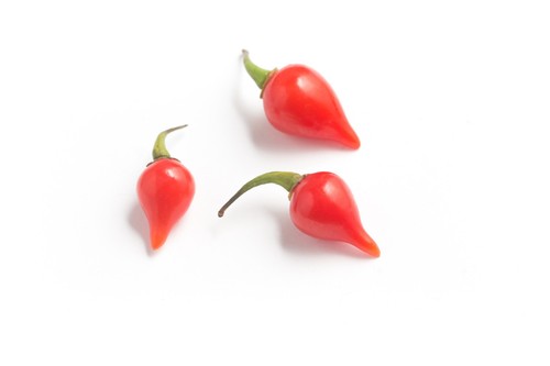 Chilli pepper biquinho red - pepper,