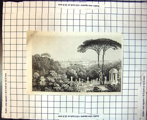 Original old antique print - original,