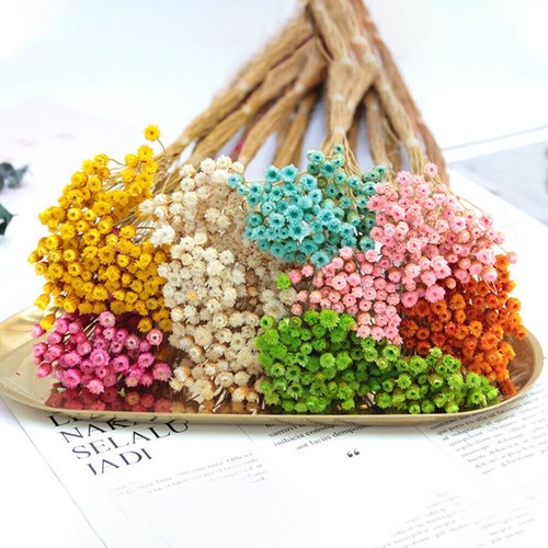 50x real happy flower small - 50x,