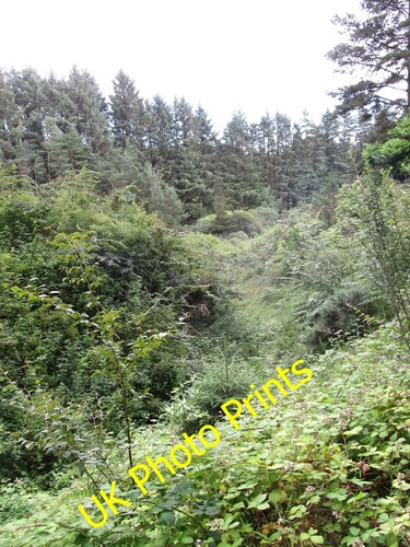 Photo 6x4 the valley - valley, of