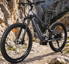 HEDATX TX19 E-Mountainbike 48V