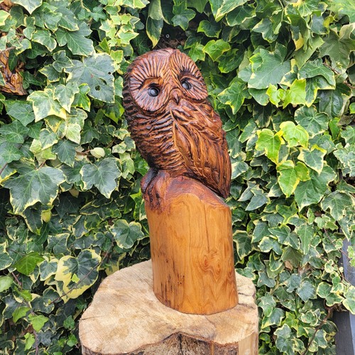Chainsaw carved hardwood owl - hardwood,