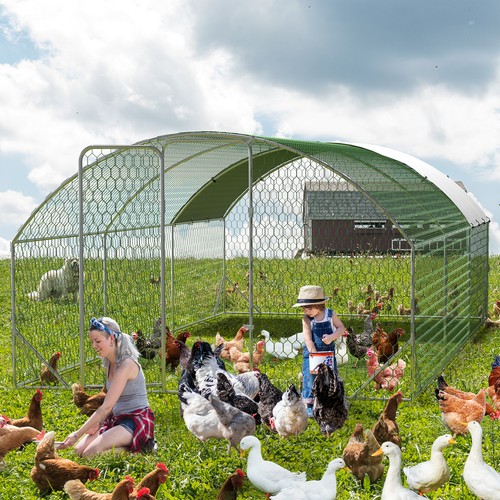 Large walk chicken run coop - walk-in,