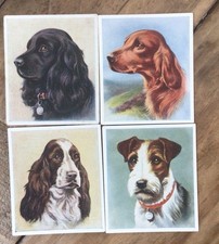 Godfrey Phillips ( 1939 ) - “Our Dogs” Medium Sixe -4 x Cards - numbers 3-7-8-9