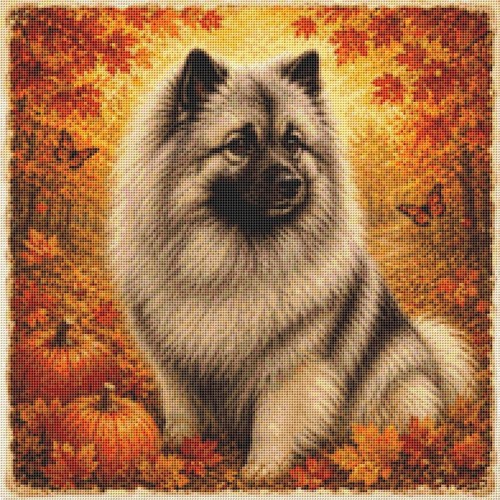 Keeshond puppy dog autumn - keeshond, in