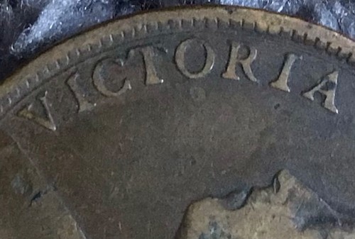 1888 bun penny coin both - penny, in
