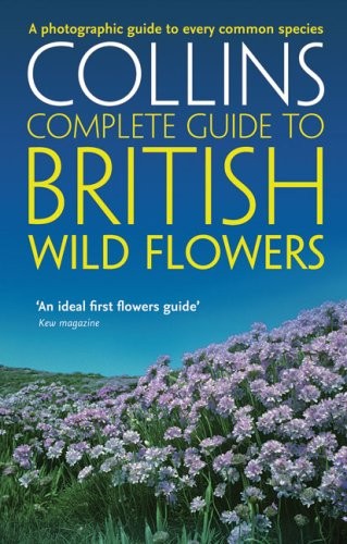 British wild flowers a - british, flowers: