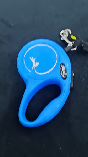 Flexi dog lead - dog,