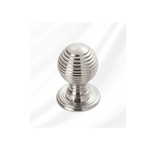 20x traditional queen anne - traditional,
