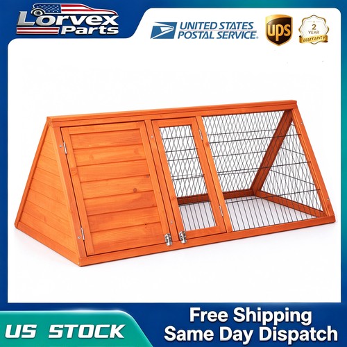 Sturdy fir wood - fir, rabbit