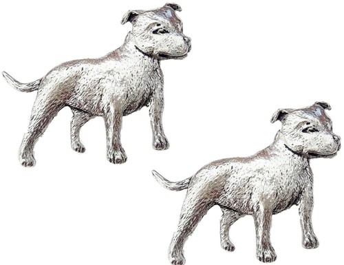 Staffordshire bull terrier - x,