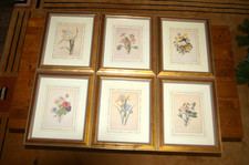 6 X LIMITED EDITION FRAMED PRINTS - THE FAIREST FLOWERS OF PIERRE-JOSEPH REDOUTE