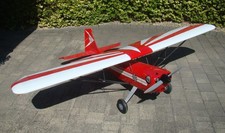 A Big ( 7ft Span) Aerobatic