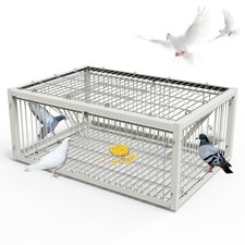 pigeon trap cage