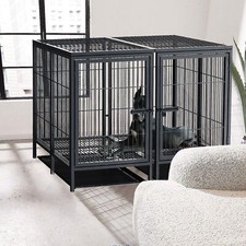 Heavy duty indestructible dog - indestructible,