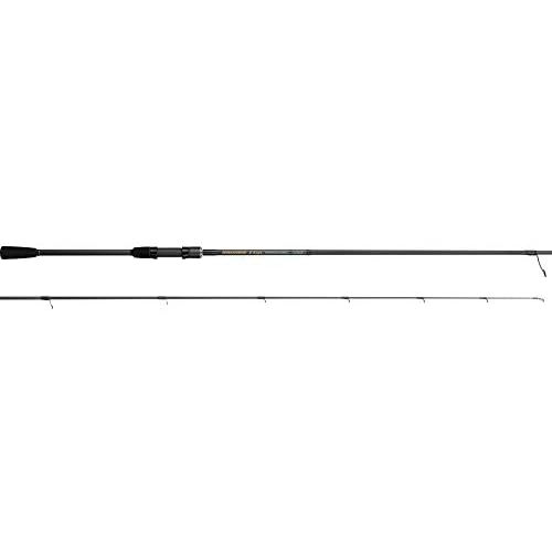 Tenryu spinning rod brigade - tenryu,
