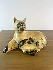 Siamese Chocolate Seal Point