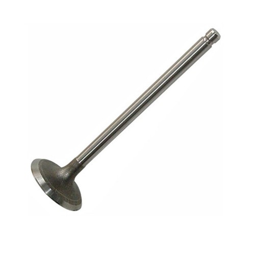 Intake valve for ford - intake,