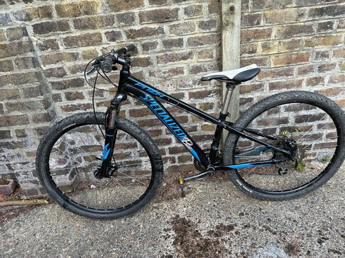Specialized mountain bike - mountain,