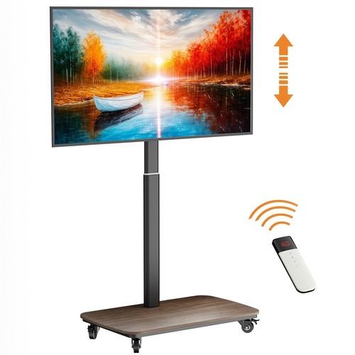 Floor stand 77 rolling - tv,