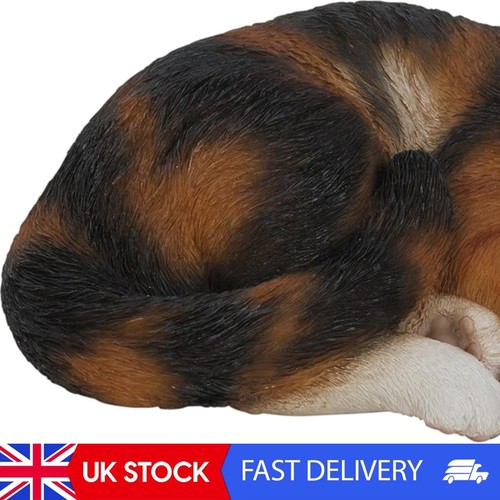 Real life sleeping cat - sleeping,