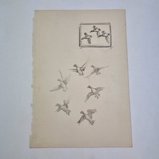 Sir Peter Markham Scott