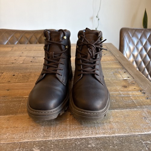 Caterpillar practitioner mid - caterpillar,