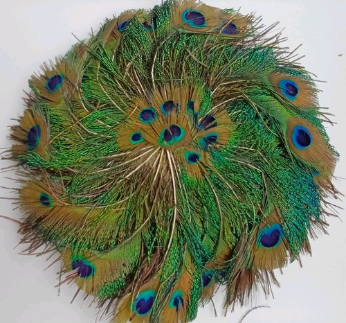 Antique circular peacock