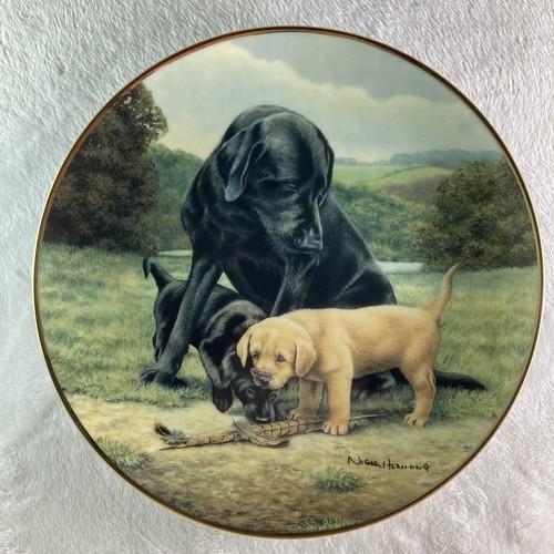 Spring training plate nigel - plate,