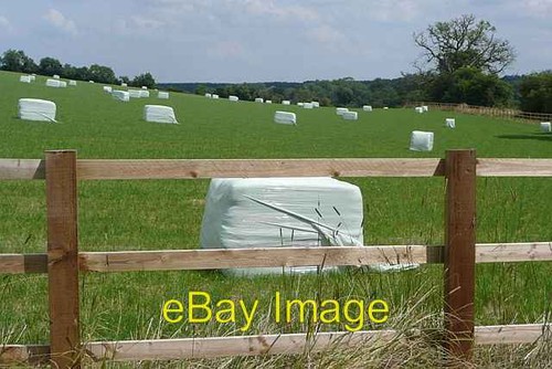 Photo 6x4 silage recently - 6x4,