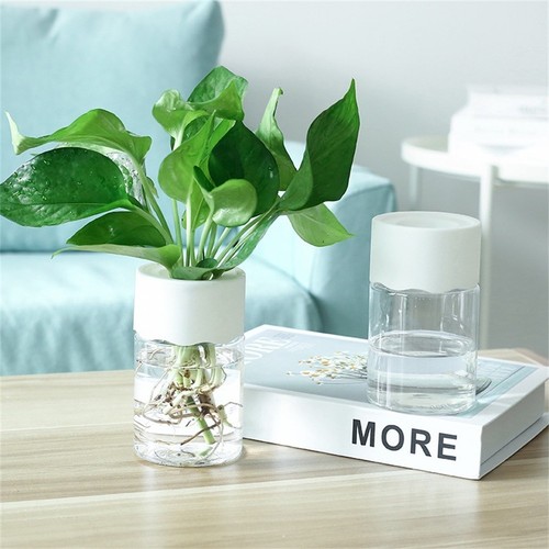 Sale useful plant pots - useful, flower
