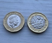 Double Sided Coin New 12 Sided