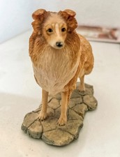 Border Fine Arts Rough Collie