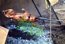 Vintage 35mm Color Slide