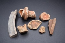 Group of 7 Ancient Roman