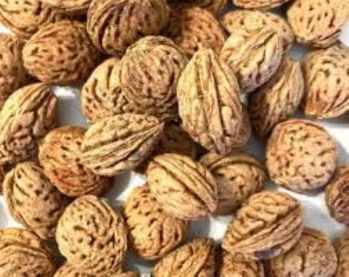 Peach tree seeds - 5,