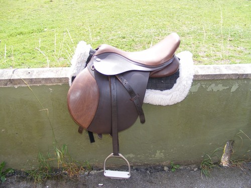 Thorowgood eventing saddle - thorowgood,